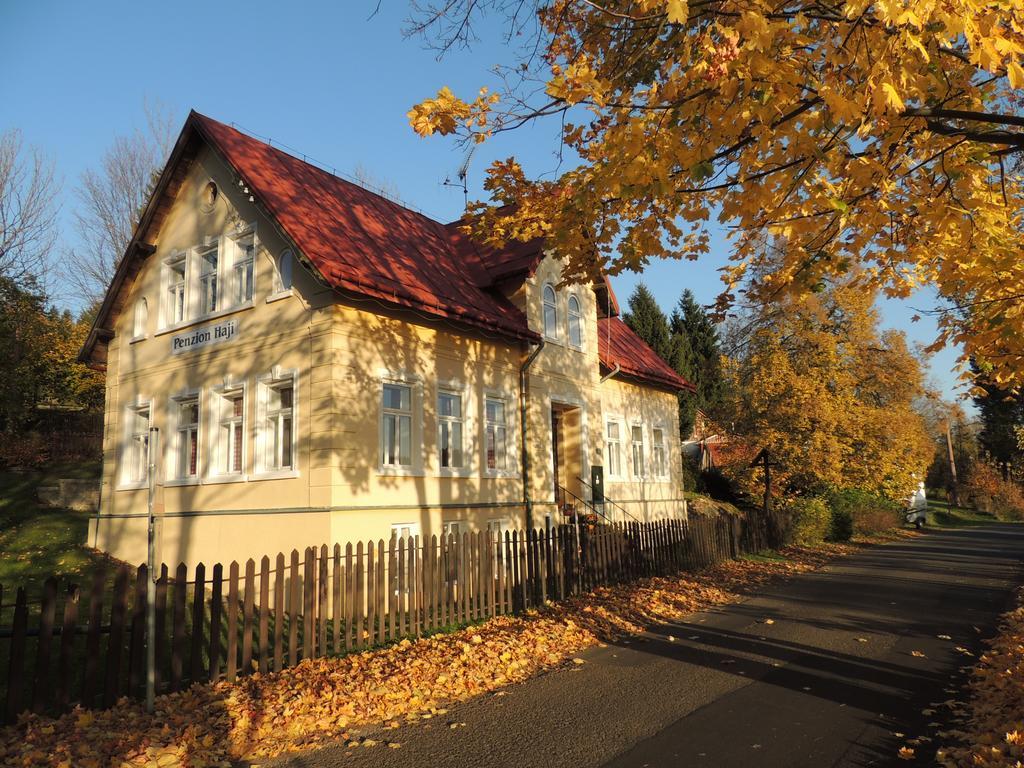 Penzion Haji Janov nad Nisou Kültér fotó